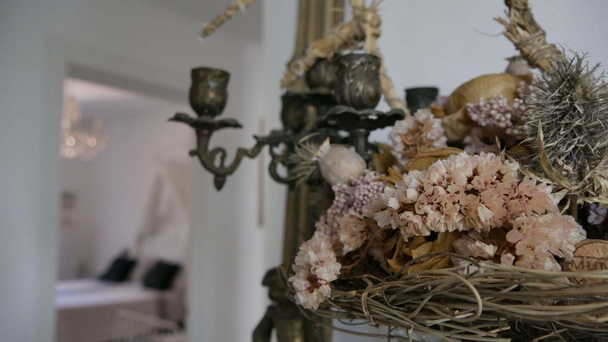 Nonna Rina B&B Savona Dış mekan fotoğraf